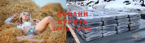 ешки Арсеньев