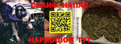 шишки Камышлов