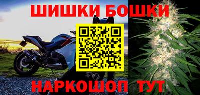 шишки Камышлов