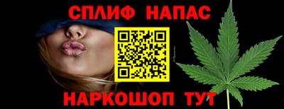 шишки Камышлов