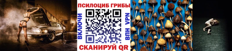 Псилоцибиновые грибы Psilocybe  купить наркоту  Междуреченск 