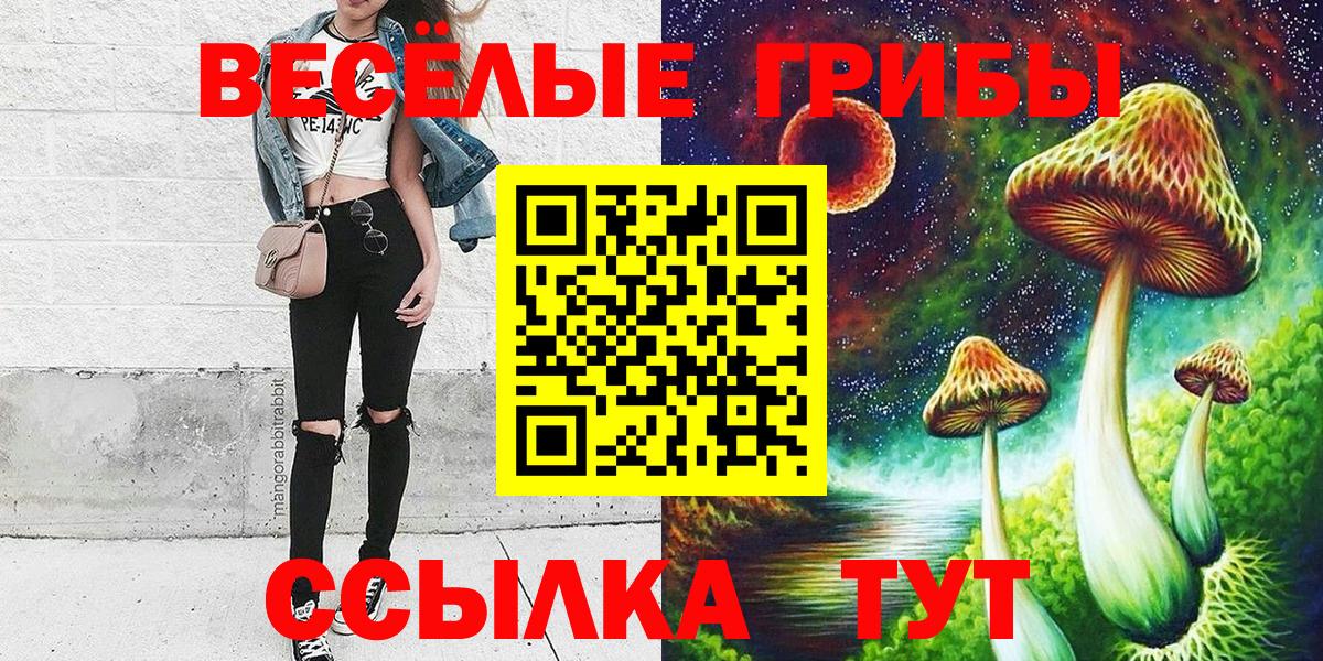 Галлюциногенные грибы GOLDEN TEACHER Междуреченск