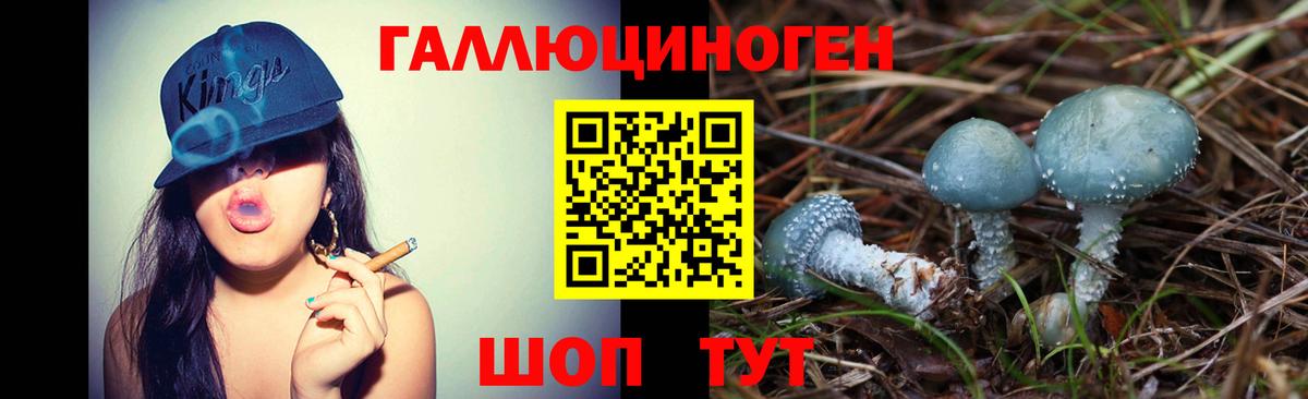 Галлюциногенные грибы мухоморы  Псилоцибиновые грибы Psilocybine cubensis  Междуреченск  Вход с VPN 