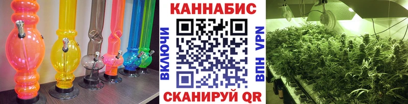 Бошки Шишки план Междуреченск